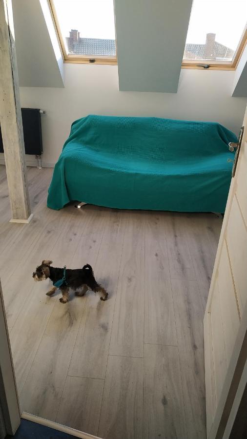 Apartament Witkacego Zielony Slupsk Bagian luar foto