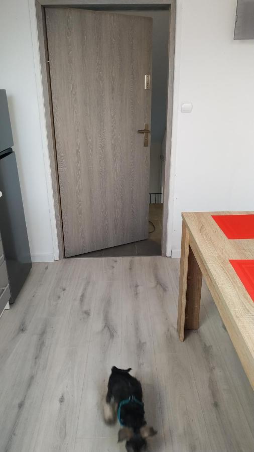 Apartament Witkacego Zielony Slupsk Bagian luar foto