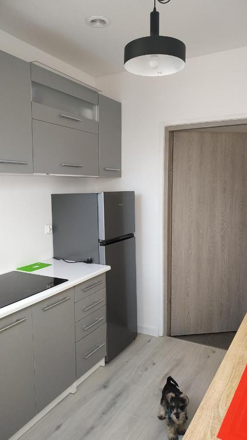 Apartament Witkacego Zielony Slupsk Bagian luar foto